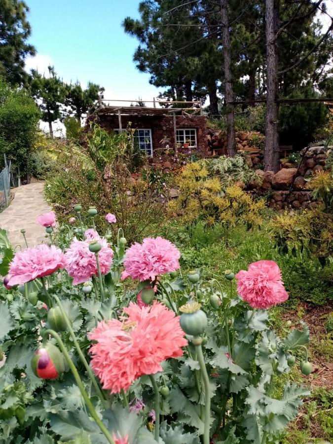 Casa Los Pinos - Sunset & Wifi ปุนตากอร์ดา ภายนอก รูปภาพ