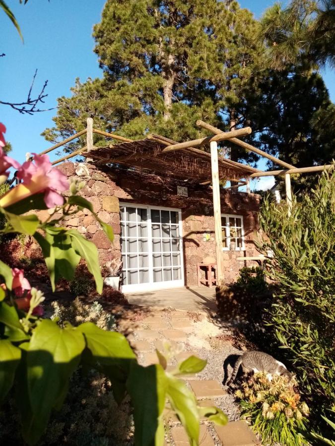Casa Los Pinos - Sunset & Wifi ปุนตากอร์ดา ภายนอก รูปภาพ