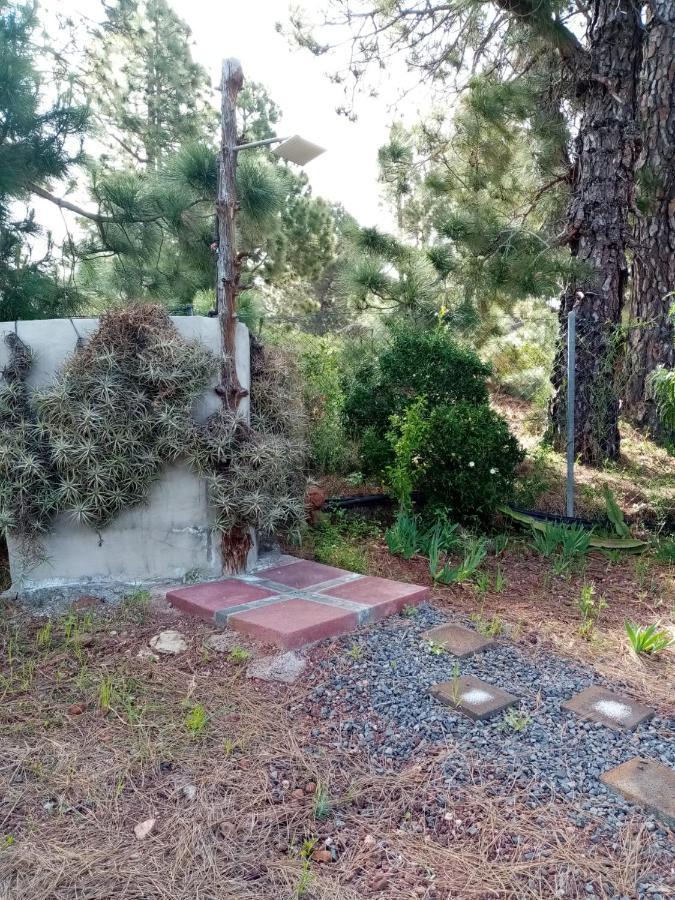 Casa Los Pinos - Sunset & Wifi ปุนตากอร์ดา ภายนอก รูปภาพ